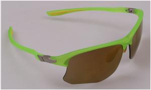 polarized eyewear